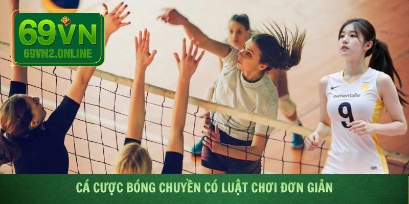 Cá cược bóng chuyền có luật chơi đơn giản