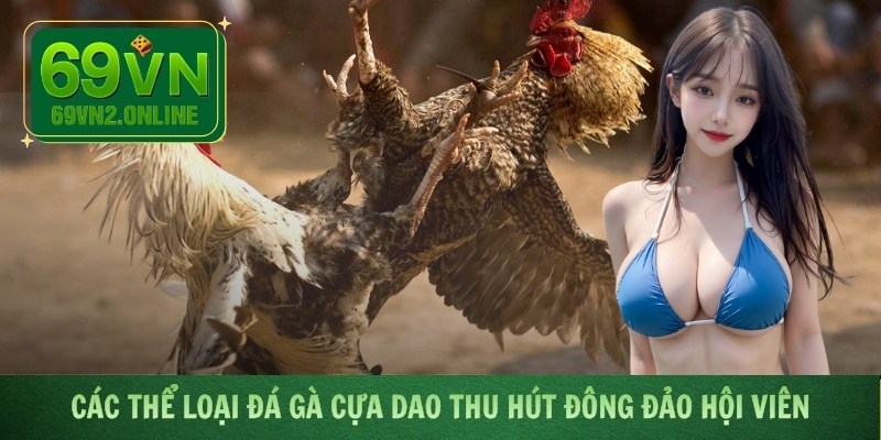 Các thể loại đá gà cựa dao thu hút đông đảo hội viên