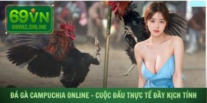 Đá gà Campuchia online