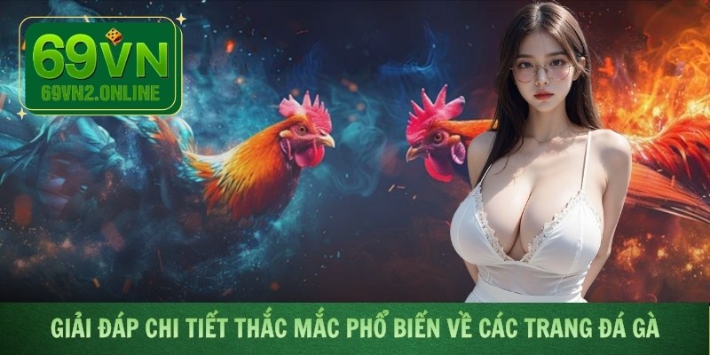 Giải đáp chi tiết thắc mắc phổ biến về các trang