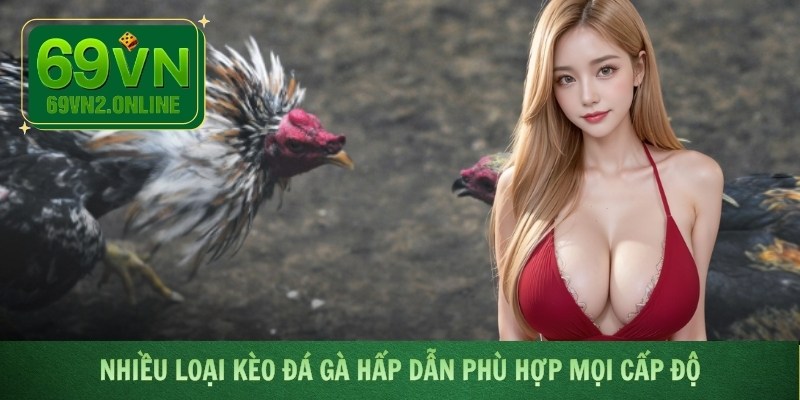 Nhiều loại kèo đá gà hấp dẫn phù hợp mọi cấp độ