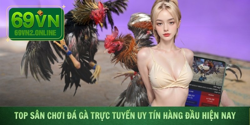 Top sân chơi đấu kê trực tuyến uy tín hàng đầu hiện nay